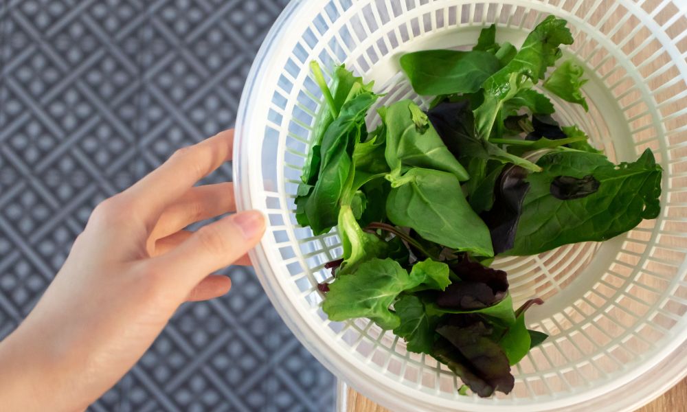 Best Colanders & Salad Spinners