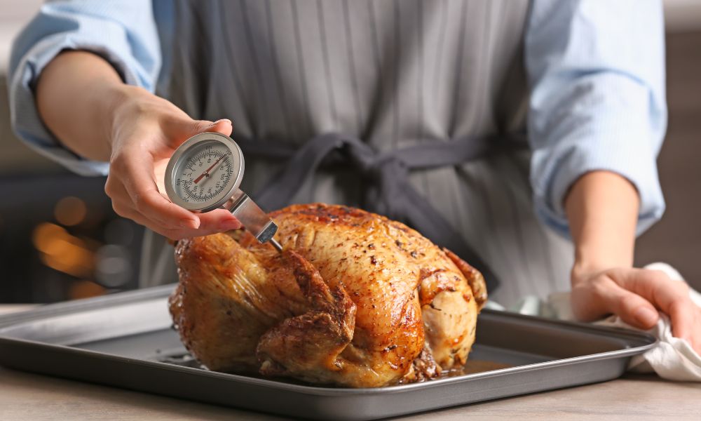 Best Meat Thermometers