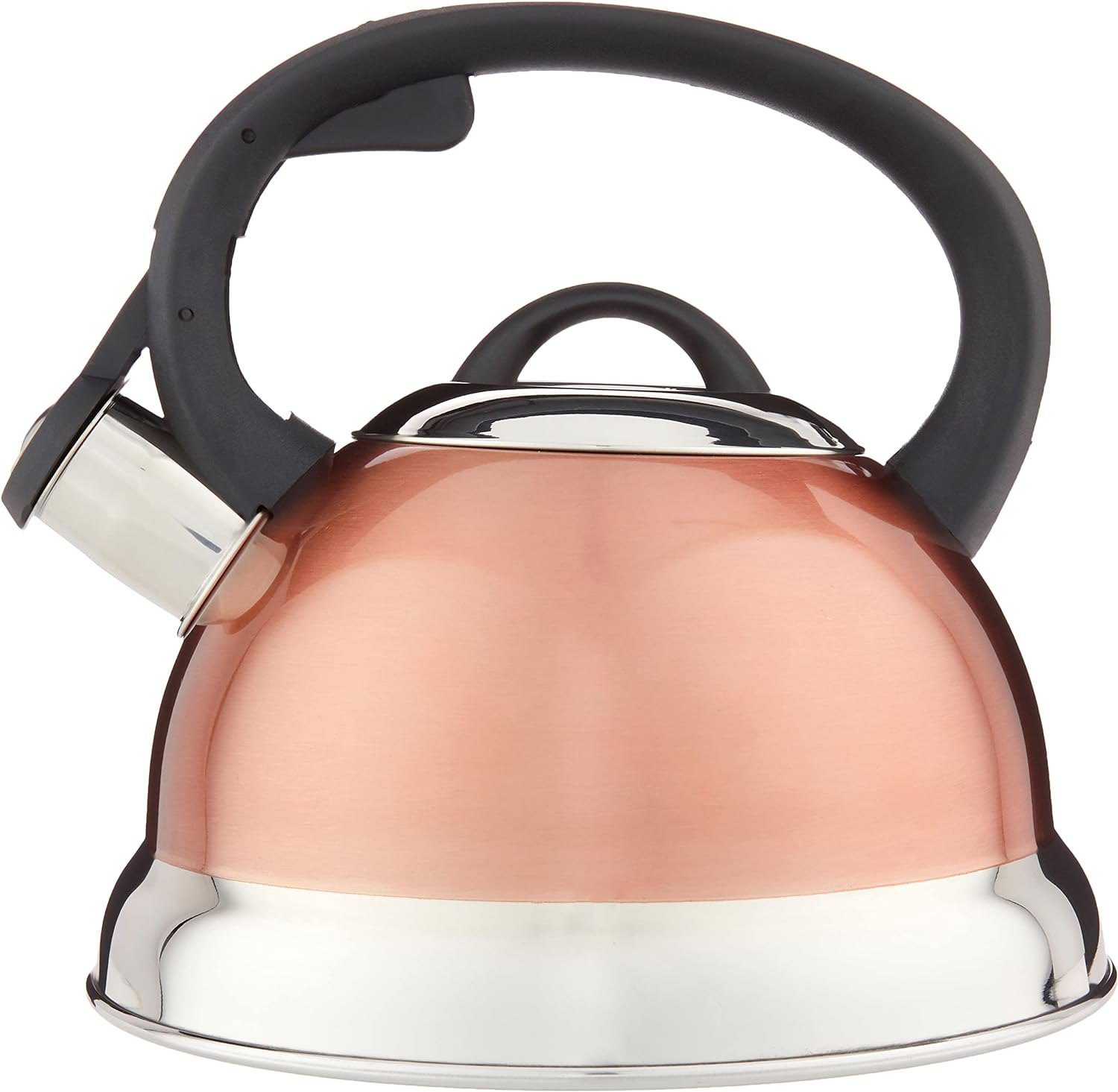Mr. Coffee Flintshire Copper Tea Kettle