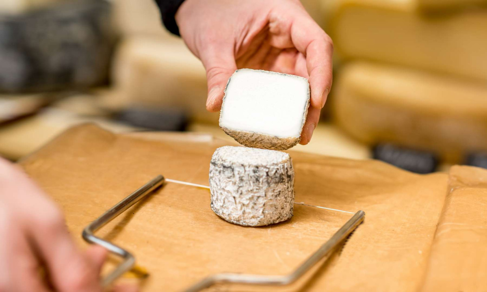 wire cheese slicer | 7 best options of 2024