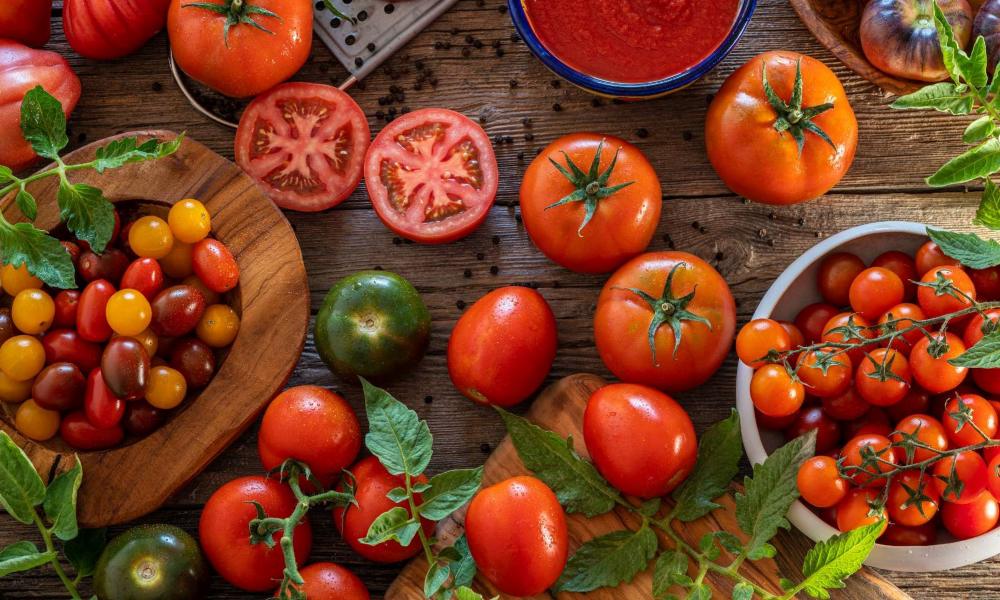 Selecting the Perfect Tomatoes for Air Frying
