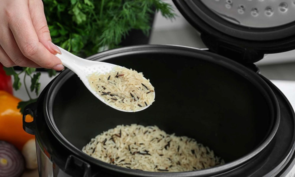 Tiger vs Zojirushi Rice Cooker