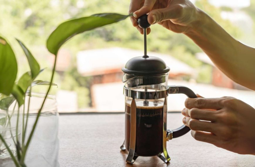 plunger coffee | understanding steep science